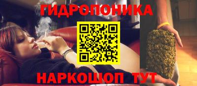 экстази Кингисепп