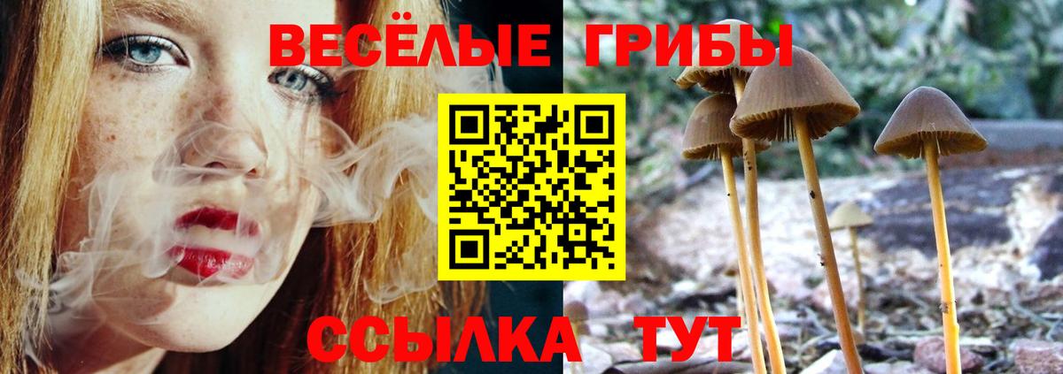 Галлюциногенные грибы ЛСД Кирово-Чепецк