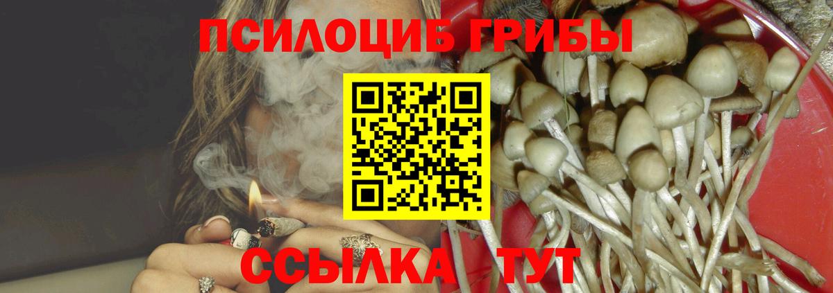 Галлюциногенные грибы Psilocybine cubensis  Псилоцибиновые грибы прущие грибы  Вход с VPN  Кирово-Чепецк 