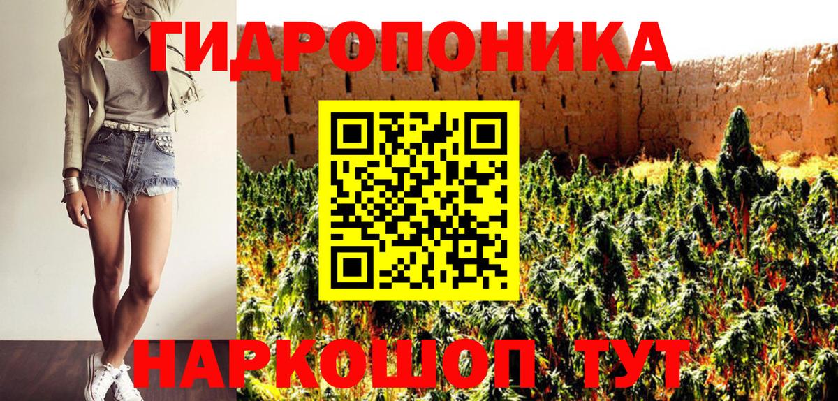 Бошки Шишки сатива Кирово-Чепецк